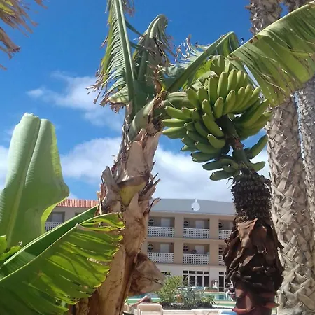 Cozy In 45 M² With Sea View Apartament Costa Del Silencio