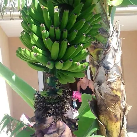 Cozy In 45 M² With Sea View