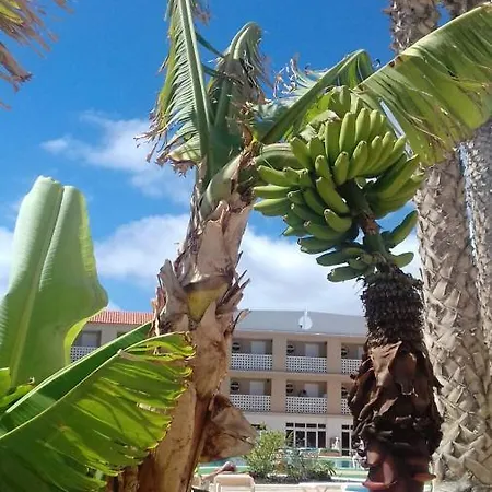 Cozy In 45 M² With Sea View Lejlighed